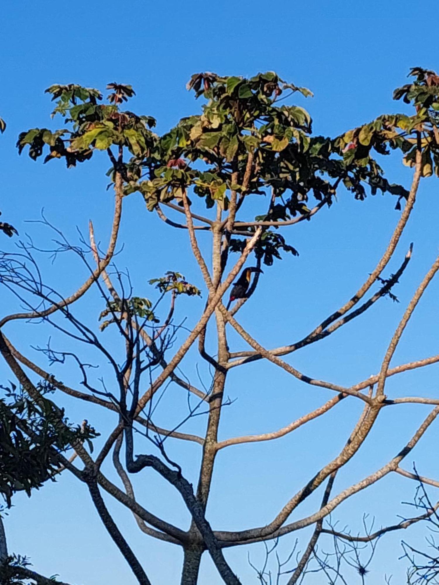 Chale Com Hidromassagem 호텔 Florianópolis 외부 사진