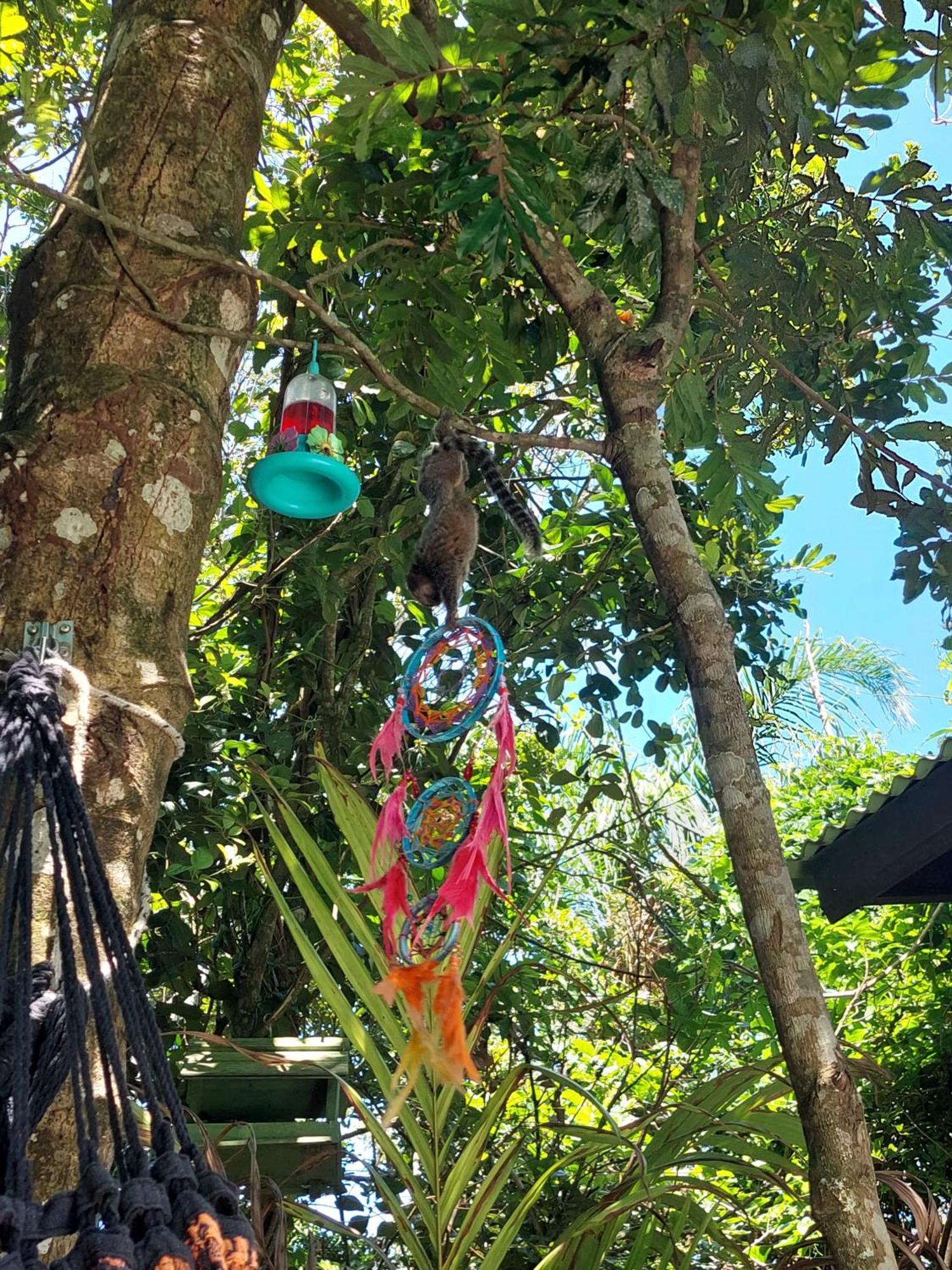Chale Com Hidromassagem 호텔 Florianópolis 외부 사진